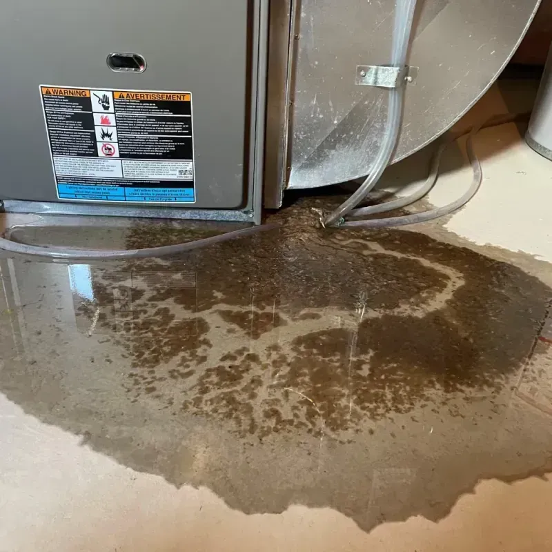 Appliance Leak Cleanup in Newport, SC